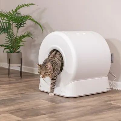 Trixie Smarte Katzentoilette Trixie Smarte Katzentoilette