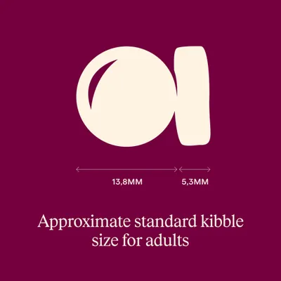 Carnilove Active Adult losos a krocan