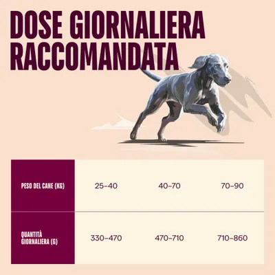 Carnilove Active Salmone & Tacchino Maxi