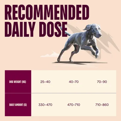 Carnilove Active Maxi losos a krůta