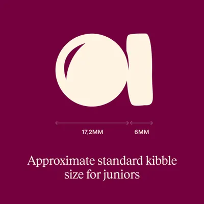 Carnilove True Fresh Junior Large Breeds s kačacím