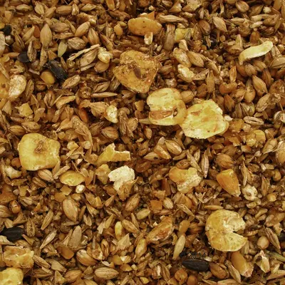 Miscela di cereali sminuzzati e fiocchi visibili, senza confezione o marchio identificabile.