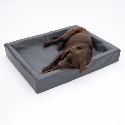 Modern Living postelja za pse Granit