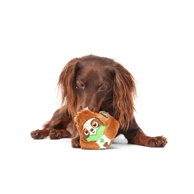 Bark Sonny lajhár kutyajáték Bark Sonny lajhár kutyajáték