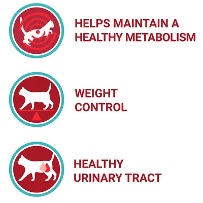 Tekst: HELPS MAINTAIN A HEALTHY METABOLISM, WEIGHT CONTROL, HEALTHY URINARY TRACT. Tre ikoner med katte og grafiske symboler ved siden af teksten. Tekst på engelsk.