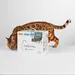 Lucky Kitty Kattenbakvulling "Natur Pur" - Sensitiv