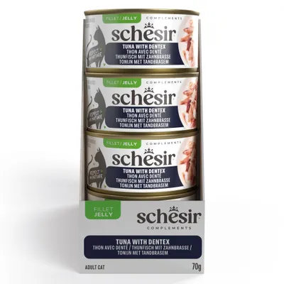 Sparpaket Schesir Complements in Gelee 24 x 70 g
