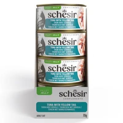 Sparpaket Schesir Complements in Gelee 24 x 70 g