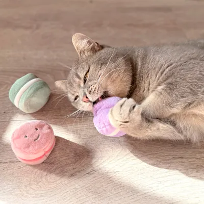 Aumüller Jouet Macarons pour chat Aumüller Jouet Macarons pour chat