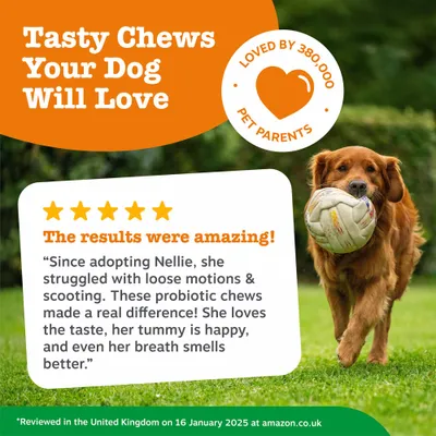 Zesty Paws Scoot Away Anal Gland Support Chews - Turkey - 50 Chews