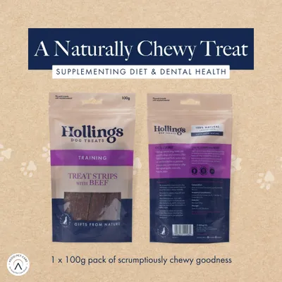Hollings Treat Strips with Beef - 100g