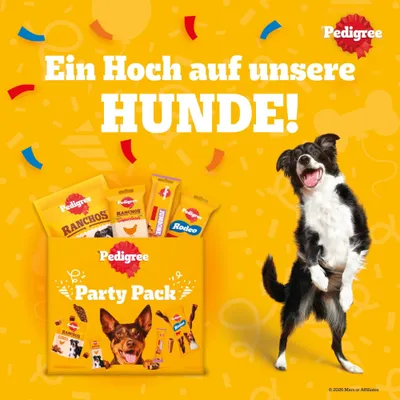 Pedigree Mega Box Hundesnacks - Sparpaket: Celebration Box (2 x 241 g) Pedigree Mega Box Hundesnacks - Sparpaket: Celebration Box (2 x 241 g)