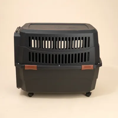 TIAKI caisse de transport avec roulettes, noire - Taille XL : L 102 x l 71 x H 67 cm TIAKI caisse de transport avec roulettes, noire - Taille XL : L 102 x l 71 x H 67 cm
