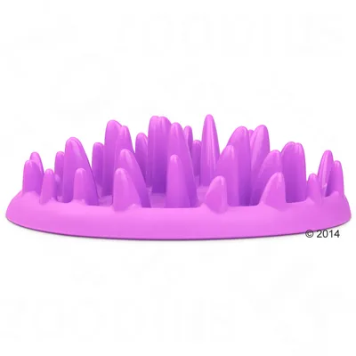 Comedero antiglotón lila con picos elevados para ralentizar la ingesta de alimento.