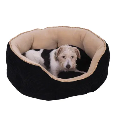 Hund med sort og hvid pels ligger i rund, sort hundeseng med beige inderside. Materialet ser blødt ud, og kanten har en gylden snor.