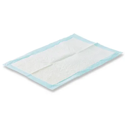 Tappetino bianco rettangolare con bordo azzurro chiaro, adatto per l'igiene o come aiuto per l'addestramento.