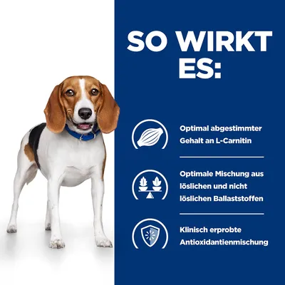 So wirkt es: Optimal abgestimmter Gehalt an L-Carnitin, optimale Mischung aus löslichen und nicht löslichen Ballaststoffen, klinisch erprobte Antioxidantienmischung.