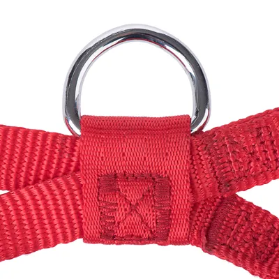 Detailní záběr na červený nylonový postroj pro psy se stabilním kovovým D-kroužkem.