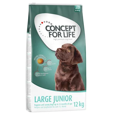 Concept for Life Large Junior, 12 kg. Pennuille ja nuorille koirille 15 kuukauteen asti. Special Formula: terve kasvu, nivelten ja rustojen tuki, luiden ja hampaiden optimaalinen kehitys.