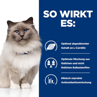 So wirkt es: Optimal abgestimmter Gehalt an L-Carnitin, optimale Mischung aus löslichen und nicht löslichen Ballaststoffen, klinisch erprobte Antioxidantienmischung.