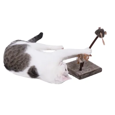 White and grey cat playing with a scratching post featuring a mouse toy on a stick, attached to a square base covered in fabric. Feathers are visible on the toy.