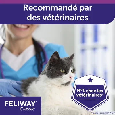 FELIWAY Classic, N°1 chez les vétérinaires, recommandé par les vétérinaires, données marché 2022. Chat gris et blanc devant une personne en blouse bleue.