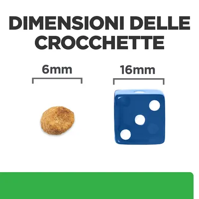 Dimensioni delle crocchette: confronto tra una crocchetta da 6 mm e un dado blu da 16 mm. Testo visibile: 'DIMENSIONI DELLE CROCCHETTE', '6 mm', '16 mm'.