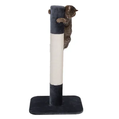 Griffoir pour chat avec base rectangulaire, poteau recouvert de corde claire et tissu foncé, chat tigré accroché au sommet du griffoir. Aucun texte visible.