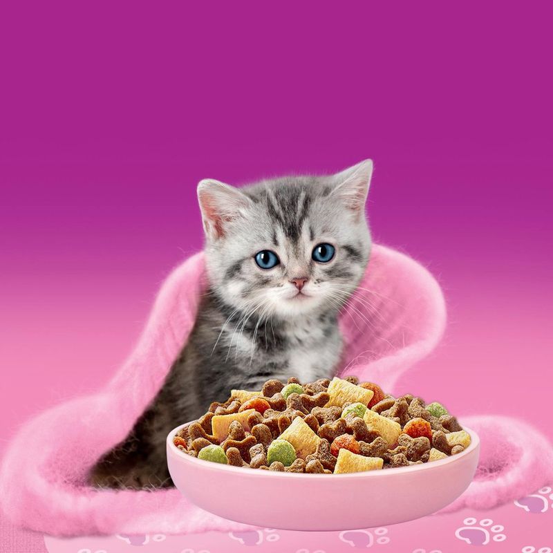 Whiskas Junior csirke