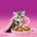 Whiskas Junior csirke