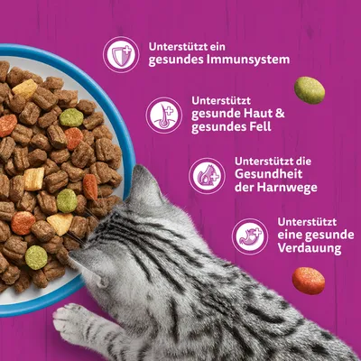 Whiskas 1+ Thunfisch Whiskas 1+ Thunfisch