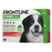 Frontline Combo cane - soluzione spot-on > 40 kg