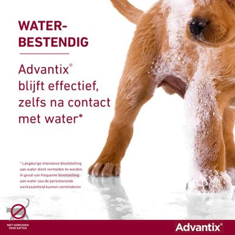 Advantix® 100/500 Spot-On Solution voor Honden 4 - 10 kg
