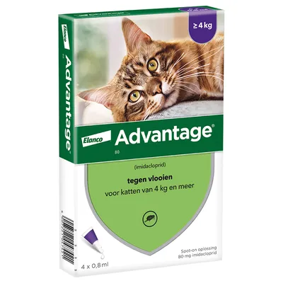 Elanco Advantage tegen vlooien voor katten van 4 kg en meer, 4 x 0,8 ml spot-on oplossing met 80 mg imidacloprid. Voor katten ≥4 kg. Verpakking toont kat en pipet.