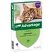 Advantage® 80 voor Katten vanaf 4 kg