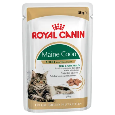 ROYAL CANIN Maine Coon ADULT over 15 months old, 85 g. BONE & JOINT HEALTH. Slika mačke Maine Coon i komadića hrane na pakiranju.