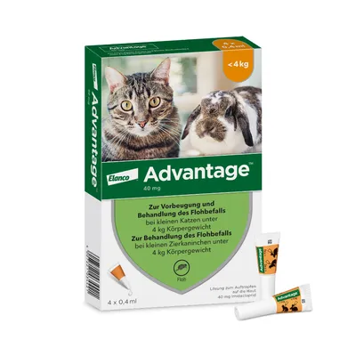 Advantage® für Katzen und Zierkaninchen - 4 Pipetten x 0,4 ml (< 4kg)