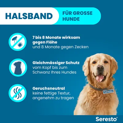 Halsband für große Hunde. Wirksam gegen Flöhe für 7-8 Monate und gegen Zecken für 8 Monate. Gleichmäßiger Schutz vom Kopf bis Schwanz. Geruchsneutral, keine fettige Textur, angenehm zu tragen.