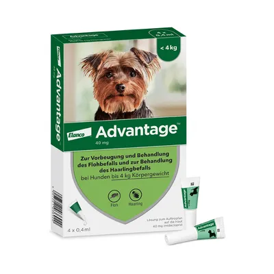 Elanco Advantage 40 mg solution pour prévention et traitement des infestations de puces et poux chez chiens jusqu'à 4 kg. Boîte de 4 pipettes de 0,4 ml.