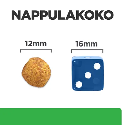 NAPPULAKOKO. Koiranruokanappulan halkaisija 12 mm, vertailuna sininen noppa 16 mm. Tekstit: 12 mm ja 16 mm nappuloiden yläpuolella.