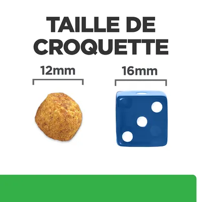 Comparaison taille de croquette 12 mm à côté d’un dé bleu 16 mm, texte : TAILLE DE CROQUETTE, indications sous chaque objet.