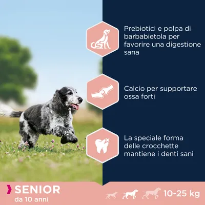 Prebiotici e polpa di barbabietola per digestione sana, calcio per ossa forti, forma delle crocchette mantiene i denti sani. Senior da 10 anni, 10–25 kg.