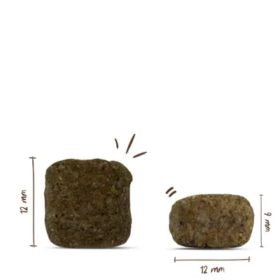Zwei Futterstücke mit Maßangaben: 12 mm hoch und breit, das zweite Stück 6 mm hoch und 12 mm breit. Zwei Futterstücke mit Maßangaben: 12 mm hoch und breit, das zweite Stück 6 mm hoch und 12 mm breit.