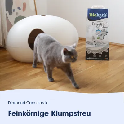 Biokat's Diamond Care classic Feinkörnige Klumpstreu, Verpackung neben Katzentoilette und grauer Katze. Produktname und Sorte deutlich sichtbar. Biokat's Diamond Care classic Feinkörnige Klumpstreu, Verpackung neben Katzentoilette und grauer Katze. Produktname und Sorte deutlich sichtbar.