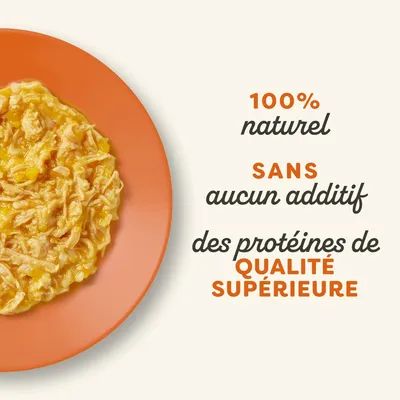 Applaws 6 x 156 g pour chat