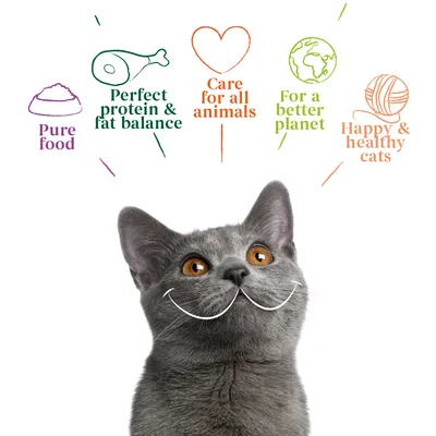 Pure food, perfect protein and fat balance, care for all animals, for a better planet, happy and healthy cats. Text with icons above a grey cat.