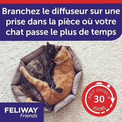 Branchez le diffuseur sur une prise dans la pièce où votre chat passe le plus de temps. Agit jusqu’à 30 jours. FELIWAY Friends.
