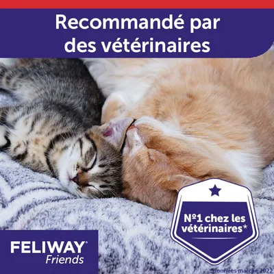Recommandé par des vétérinaires. N°1 chez les vétérinaires*. FELIWAY Friends. Texte en français de Belgique visible sur l’image.