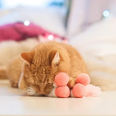 Rode kat speelt met een roze pluchen speeltje op een wit oppervlak.