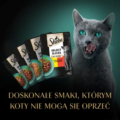 Sheba Select Slices w sosie, z kurczakiem i wołowiną, 85 g. Doskonałe smaki, którym koty nie mogą się oprzeć. Sheba Select Slices w sosie, z kurczakiem i wołowiną, 85 g. Doskonałe smaki, którym koty nie mogą się oprzeć.